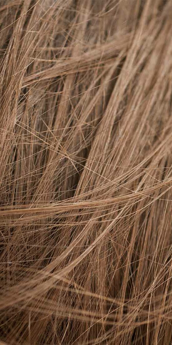 Close-up of light brown hair strands with fine texture.